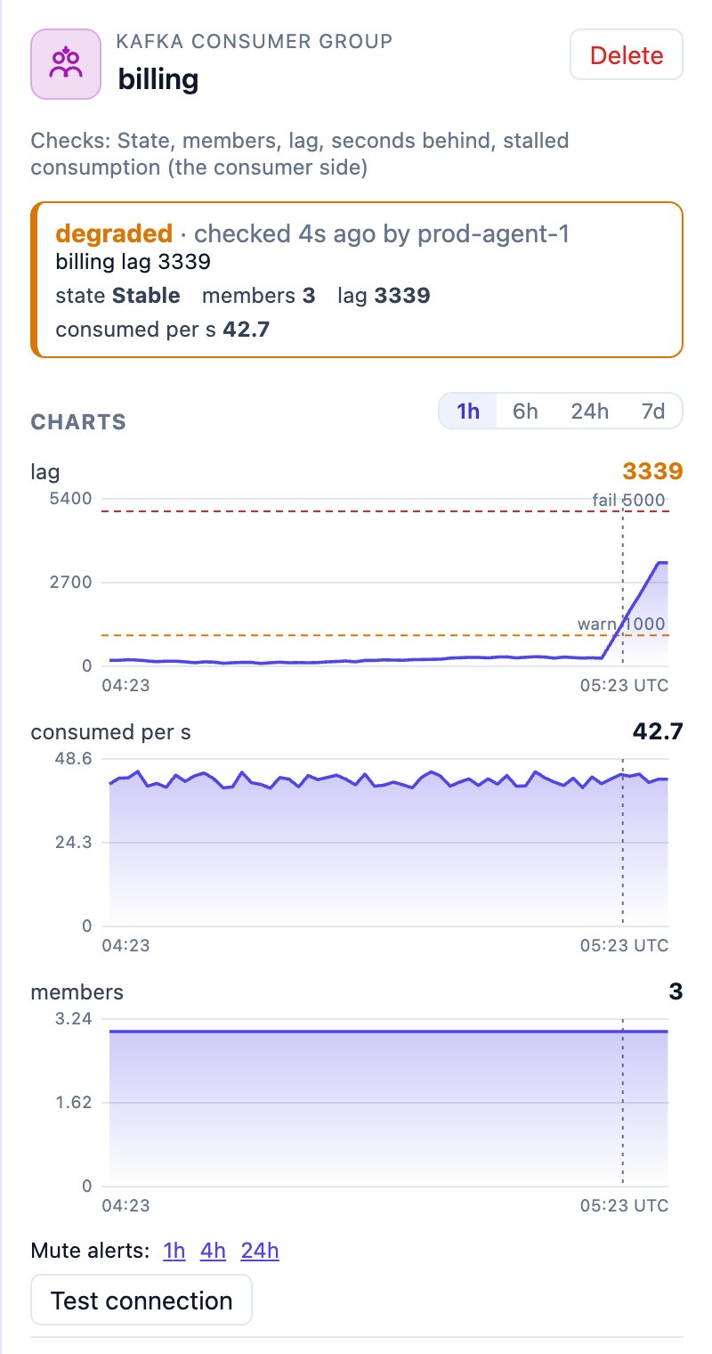 Kafka consumer group billing: degraded, lag 3339 above the warn line of 1000, with charts of lag, messages consumed per second and members.